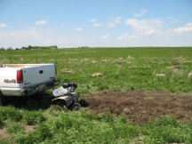 Rototilling for the asparagus bed