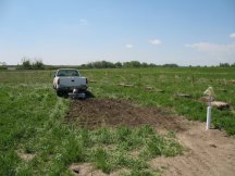 Rototilling for the asparagus bed